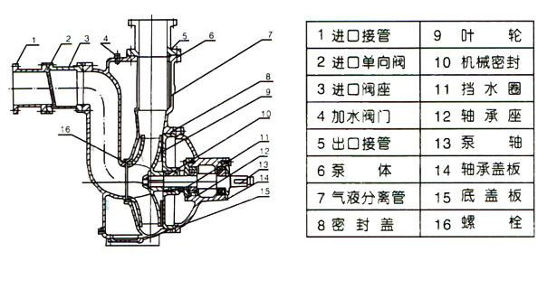 ZW型自吸式無堵塞草莓视频APP下载汚（結構圖）