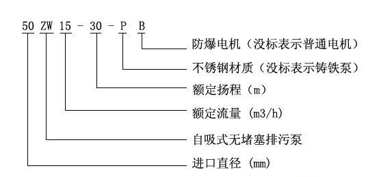 ZW型自吸式無堵塞草莓视频APP下载汚型號意義